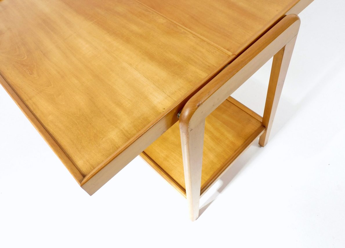 Rex_Coffeetable_Niko_Kraij_Vintage_13