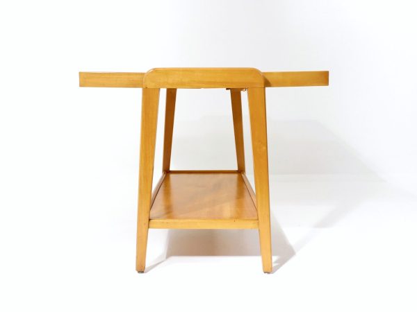 Rex_Coffeetable_Niko_Kraij_Vintage_7